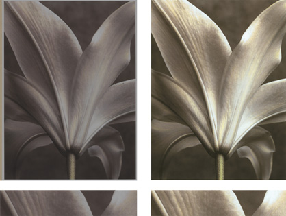 color correction example image